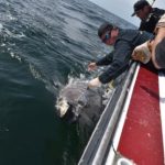 NS Tuna Charters: Blazing Bluefin Tuna Charters